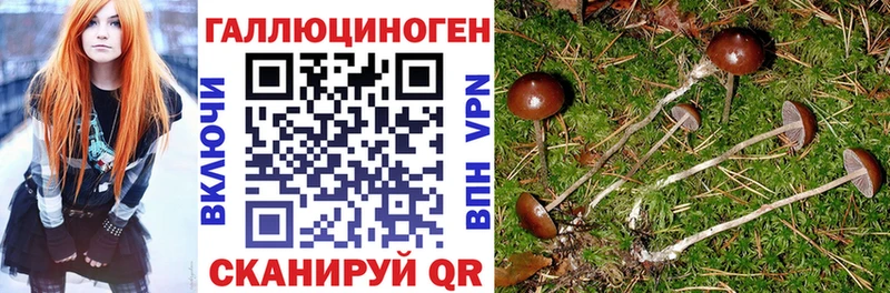 Псилоцибиновые грибы прущие грибы  как найти закладки  Биробиджан 